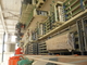 Αυτόματη αλεξίπυρη MgO μηχανή γραμμών παραγωγής πινάκων με 1200 φύλλα ανά ημέρα 8 ώρες