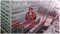 Mgo της Κίνας αυτόματη αλεξίπυρη γραμμή παραγωγής πινάκων με τη μεγαλύτερη περιεκτικότητα 1500 φύλλα